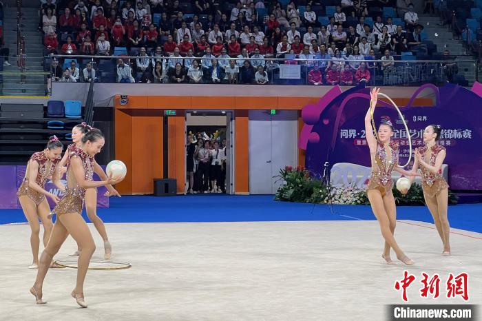 奥运冠军丁欣怡：走下领奖台 一切从零开始