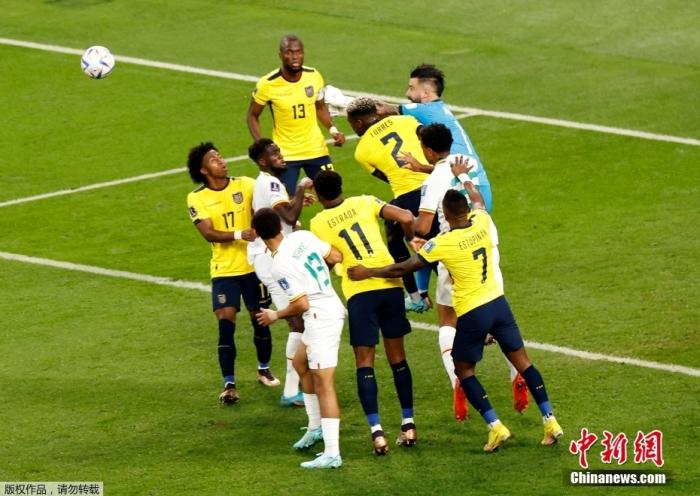 塞内加尔逆转厄瓜多尔挺进淘汰赛 荷兰携手晋级