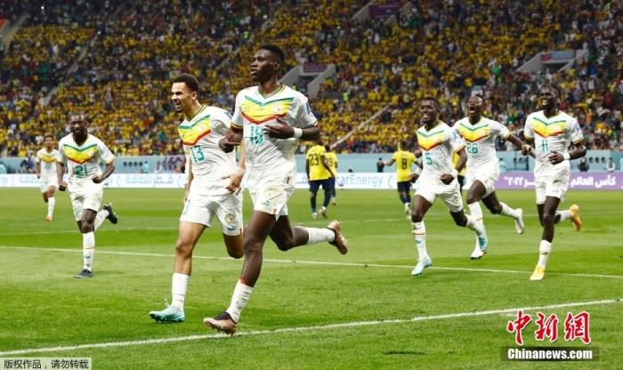 塞内加尔逆转厄瓜多尔挺进淘汰赛 荷兰携手晋级