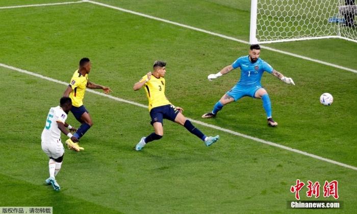 塞内加尔逆转厄瓜多尔挺进淘汰赛 荷兰携手晋级